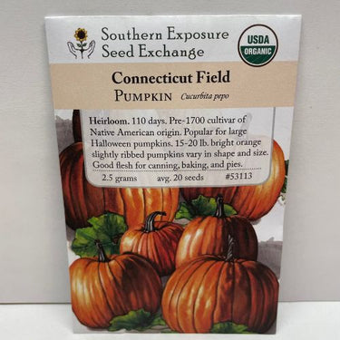 Connecticut Field Pumpkin Seeds, Heirloom, pre-1700 Native American origin